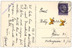 Bischofshofen, Blick gegen Mandelwand