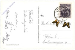 Hallein, Steinsalzbruch im Salzbergwerg Hallein-Dürrnbg.