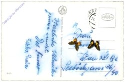 Saalbach-Hinterglemm, Dr. Karl Rennerhaus