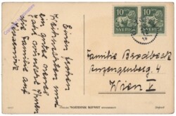 Dame auf Glücksschwein