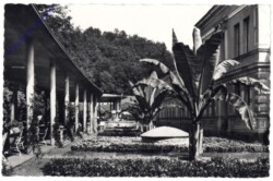 Bad Gleichenberg, Partie am offenem Wandelgang