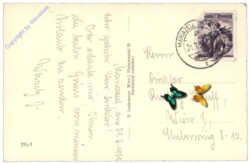 Mariazell, mit dem Ötscher