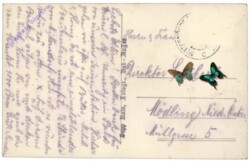 Bad Mitterndorf, Ansicht