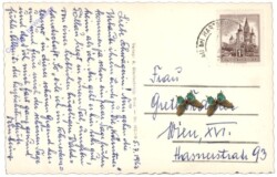 Pöllau bei Hartberg, Multiansicht
