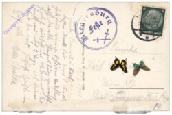 Riegersburg, Ansicht