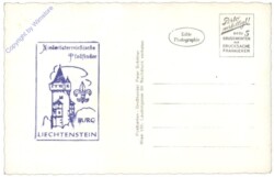 Mödling, Burg Liechtenstein