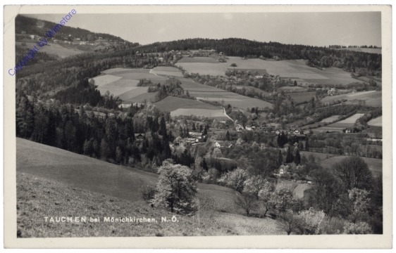 Tauchen bei Mönichkirchen, Ortsansicht