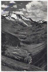 Davos, gegen Alpenrose