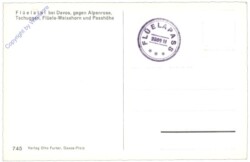 Davos, gegen Alpenrose