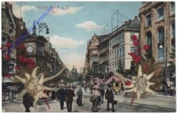 Frankfurt am Main, Straßenansicht mit Edelweiß