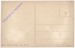 Frankfurt am Main, Straßenansicht mit Edelweiß