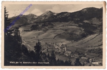 Wald im Pinzgau, Ansicht