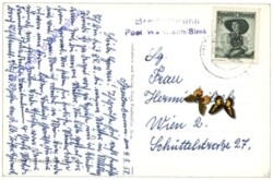 Waldbach, Breitenbrunn