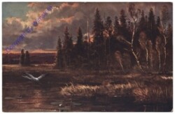 Reiher