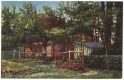 ak167985 Waldhütte