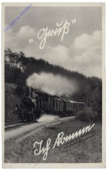 Dampfzug