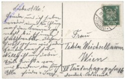 Königstein im Taunus, Herzog Adolf-Anlage und Villa Andrea