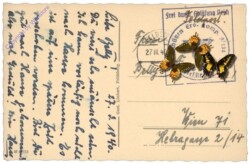 Feldsberg (Valtice), Ansicht