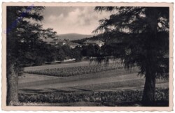Feldsberg (Valtice), Ansicht