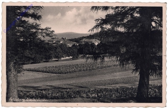 Feldsberg (Valtice), Ansicht