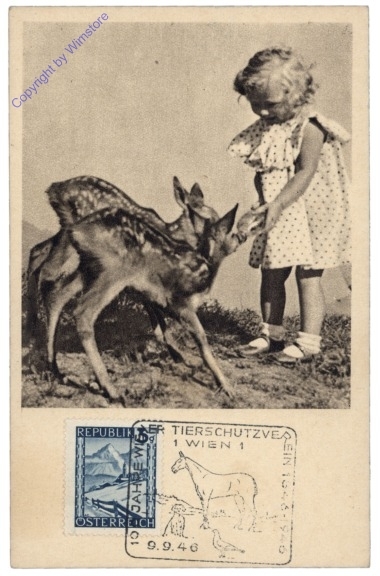 ak168322 Wien, Tierschutzverein Wien