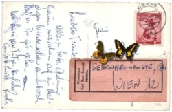 ak168374a Wien 1, Hofburg