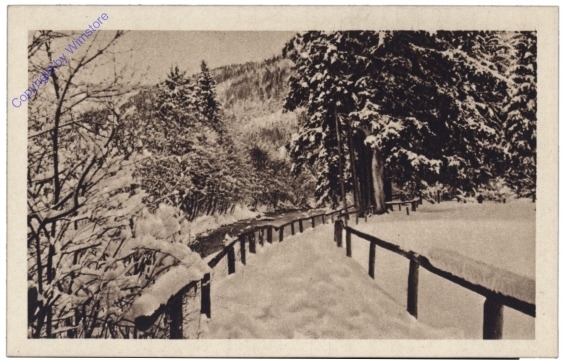 Verschneiter Weg
