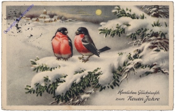 Zwei Vögel