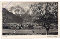 Ortsansicht mit blühenden Bäumen