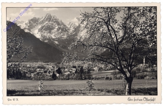 Ortsansicht mit blühenden Bäumen