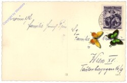 Ortsansicht mit blühenden Bäumen