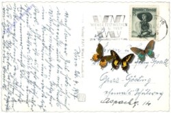 ak168409a Wien 1, Kai mit Ringturm
