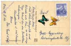 ak168442a Wien 1, Staatsoper