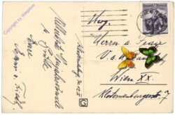 ak168449a Wien 1, Staatsoper