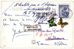 Wien 1, Universität mit Liebenberg Denkmal