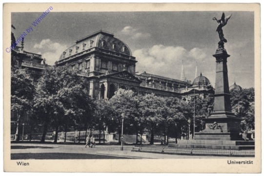 Wien 1, Universität