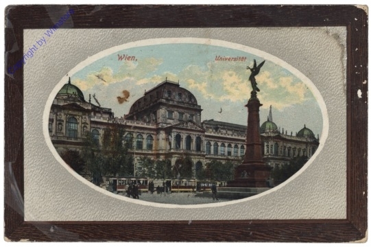 Wien 1, Universität