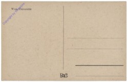 Wien 1, Universität