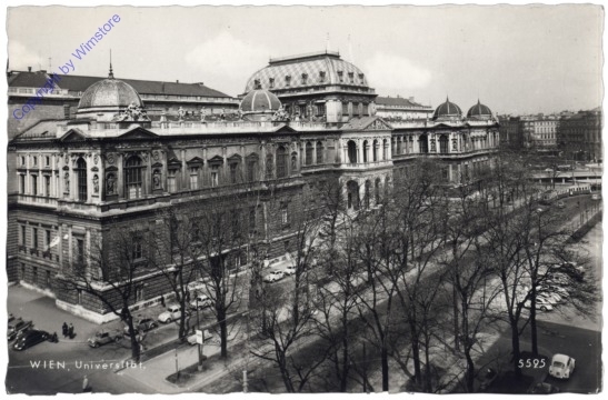 Wien 1, Universität