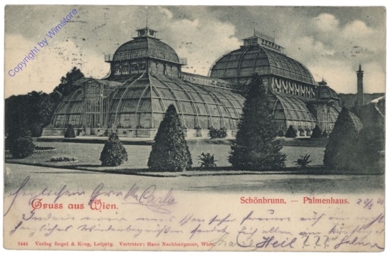 ak168582 Wien 13, Schönbrunn, Palmenhaus