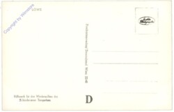 ak168587a Wien 13, Schönbrunn, Löwe