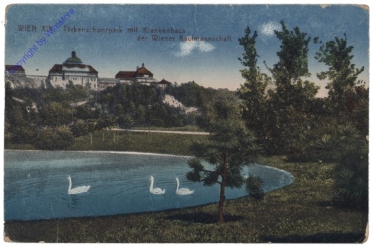 Wien 19, Türkenschanzpark mit Krankenhaus der Wiener Kaufmannschaft