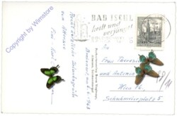 Attersee, Multiansicht