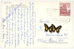 Bad Mühllacken, Multiansicht