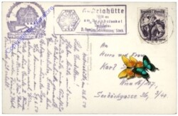 Dachstein, Austriahütte, Blick gegen die Dachstein-Südwände