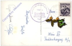 Dachstein-Rieseneishöhle, Eispalast