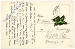 Eferding, Ortsansicht