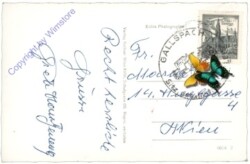 Gallspach, Institut Zeileis