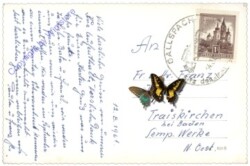 Gallspach, Institut Zeileis