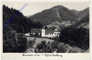 Leonstein, Schloß Salburg